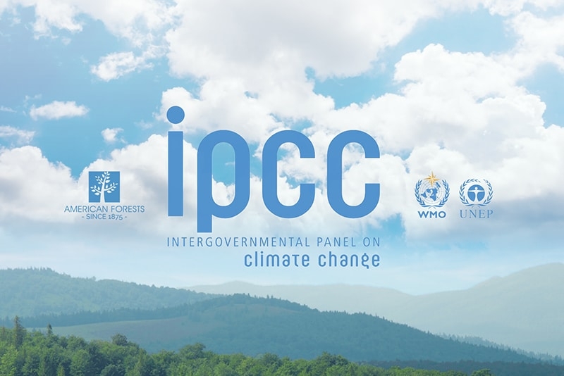 El nou informe del clima