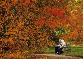 La meva tardor -Meditació-