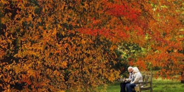 La meva tardor -Meditació-