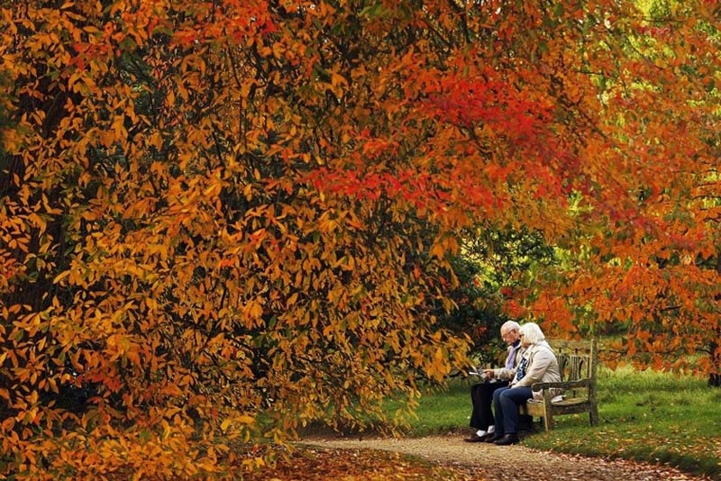 La meva tardor -Meditació-