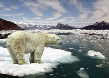 Cal que això se sàpiga