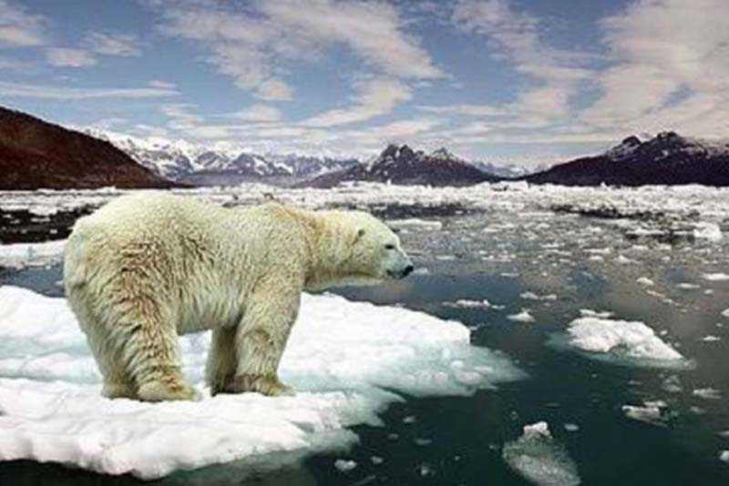 Cal que això se sàpiga