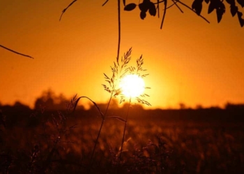 Reflexions sobre el més enllà