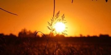 Reflexions sobre el més enllà