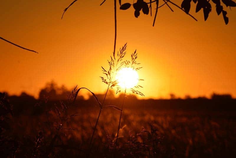 Reflexions sobre el més enllà