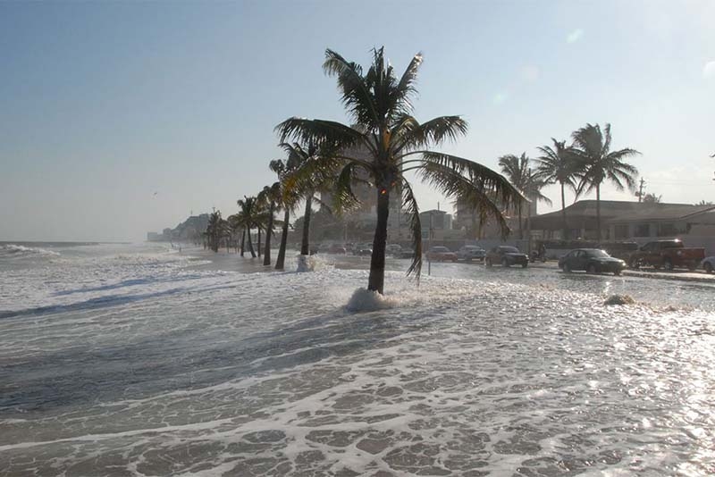 Adaptant-nos a un clima hostil