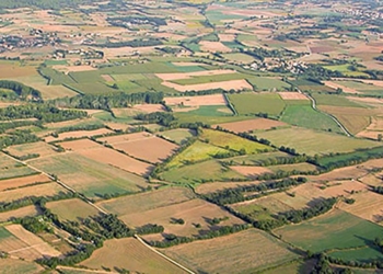 “Solastàlgia” a l’empordanesa