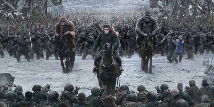 Cinema i espectacles