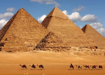 Novel·lar la història