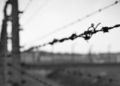 Memòria i consciència sobre horrors del passat
