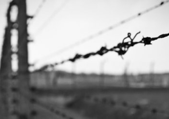 Memòria i consciència sobre horrors del passat