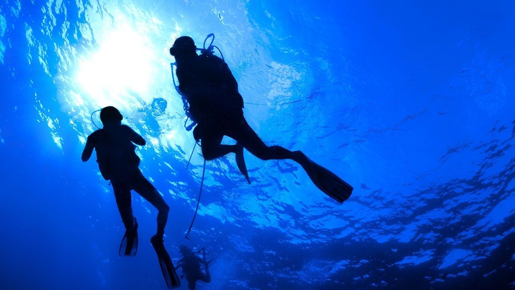 Encara més immersions a les Medes