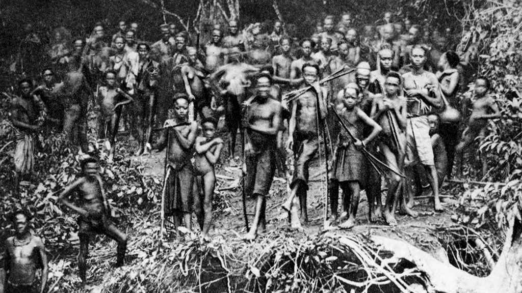 Les vergonyes europees a l’Àfrica