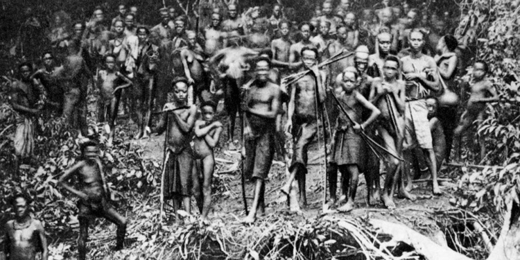 Les vergonyes europees a l’Àfrica