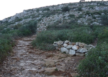 Coses que s’arreglen i altres, no tant