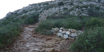 Coses que s’arreglen i altres, no tant