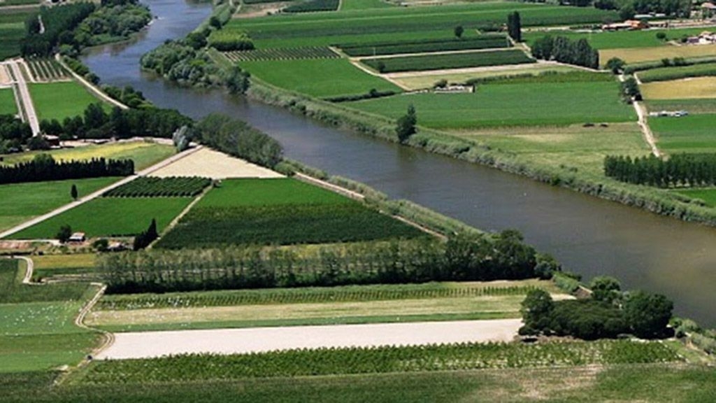 Els arbres del Baix Ter