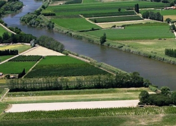 Els arbres del Baix Ter