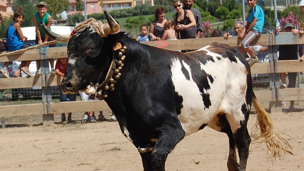 No tot al mateix sac