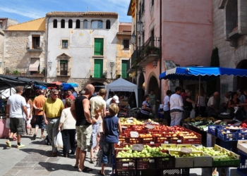 “Quo vadis”, Torroella?