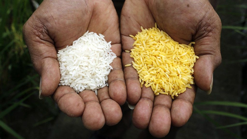 No és pas or tot el que lluu