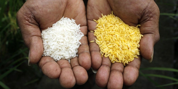 No és pas or tot el que lluu