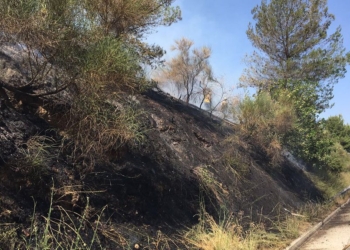 Foc, telèfons “intel·ligents” i conducció no intel·ligent