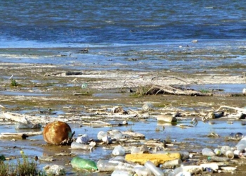 El mal que fem al mar