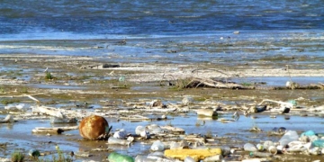 El mal que fem al mar