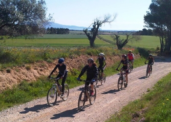 Pensant en els pedals