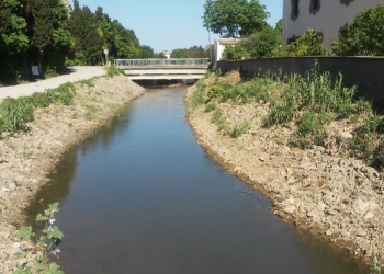 Obrir Torroella al riu