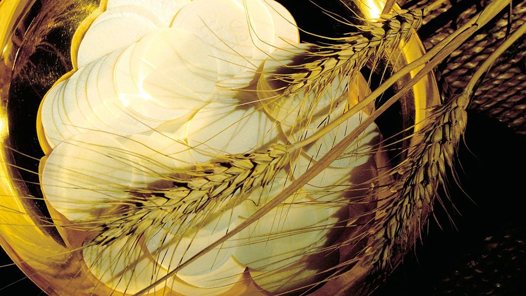 La celiaquia i l’Església