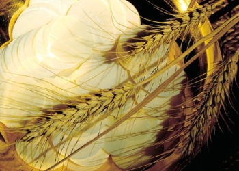 La celiaquia i l’Església