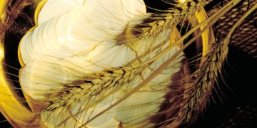 La celiaquia i l’Església