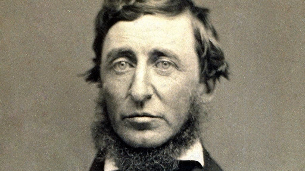 Henry D. Thoreau o la vida senzilla