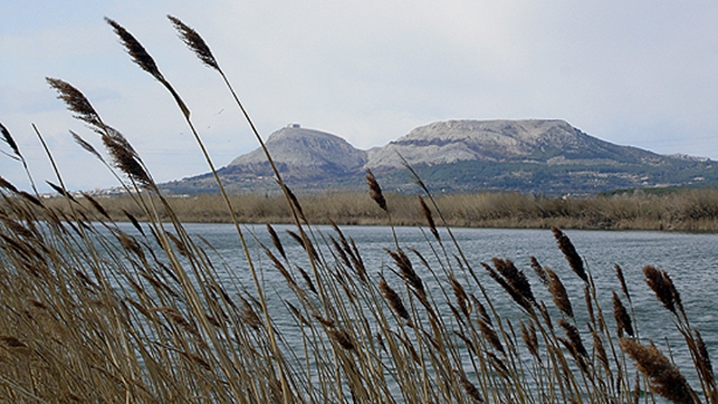 Tramuntana, l’aspirant a artista