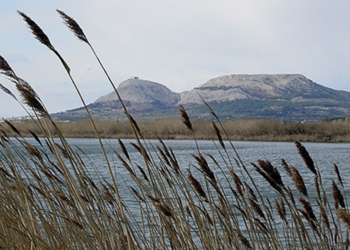 Tramuntana, l’aspirant a artista