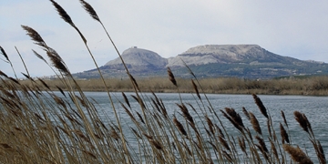 Tramuntana, l’aspirant a artista