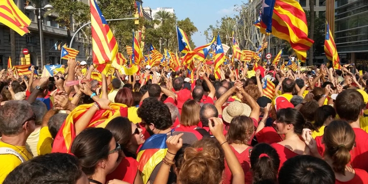 Com ho comptarà la història?