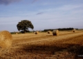 Desenvolupament sostenible de marca Costa Brava