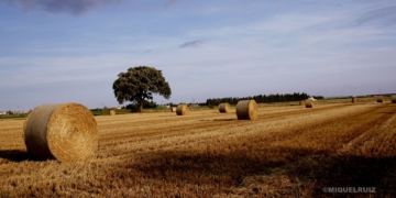 Desenvolupament sostenible de marca Costa Brava