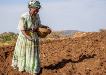 Les mentides de la PAC (I)