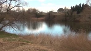 Obrim Torroella Al riu