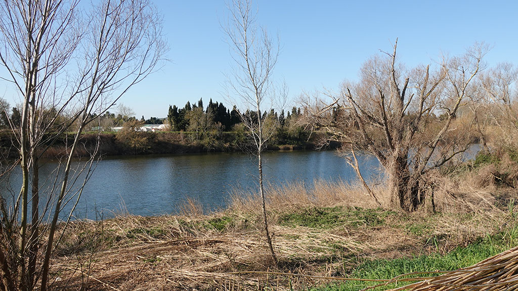 El riu Ter més a prop teu