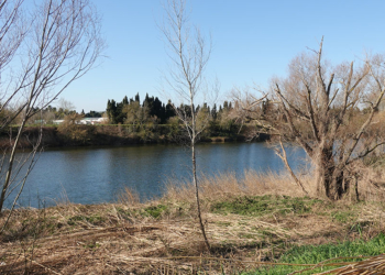 El riu Ter més a prop teu