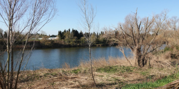 El riu Ter més a prop teu