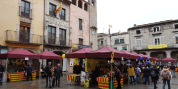 Sant Jordi, Patró de Catalunya