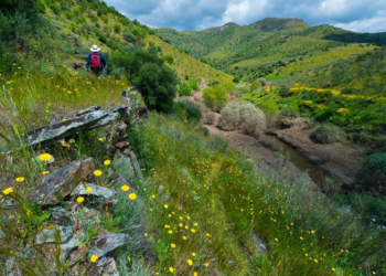 Una autèntica reforma de la PAC