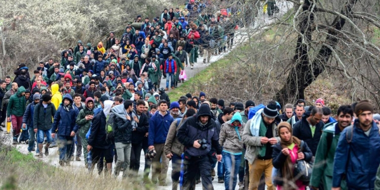 Novel·les d’emigrants i refugiats