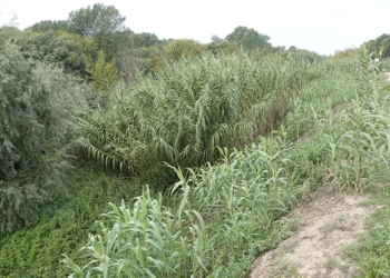 A l’aguait del nostre patrimoni